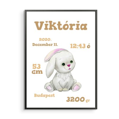 Baba születése - nyuszis