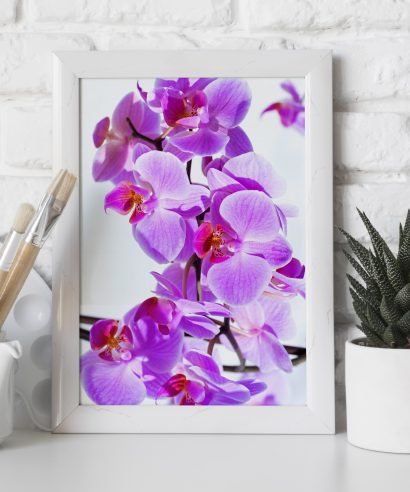Orchidea virágok
