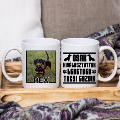 Csak a kiválasztottak lehetnek tacsi gazdik bögre