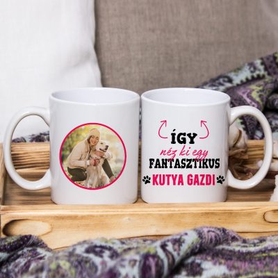 Így néz ki egy fantasztikus kutya gazdi bögre