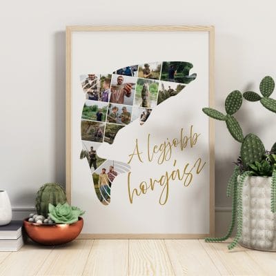 Hal alakú fényképes fotókollázs